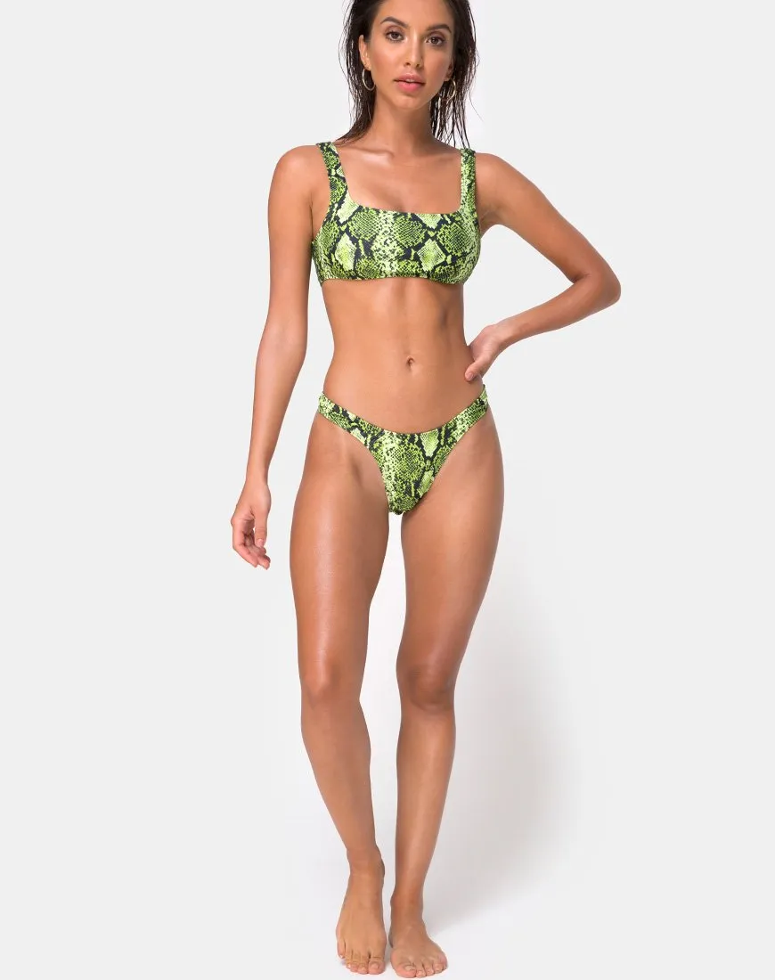 Farida Bikini Bottom in Slime Lime Snake