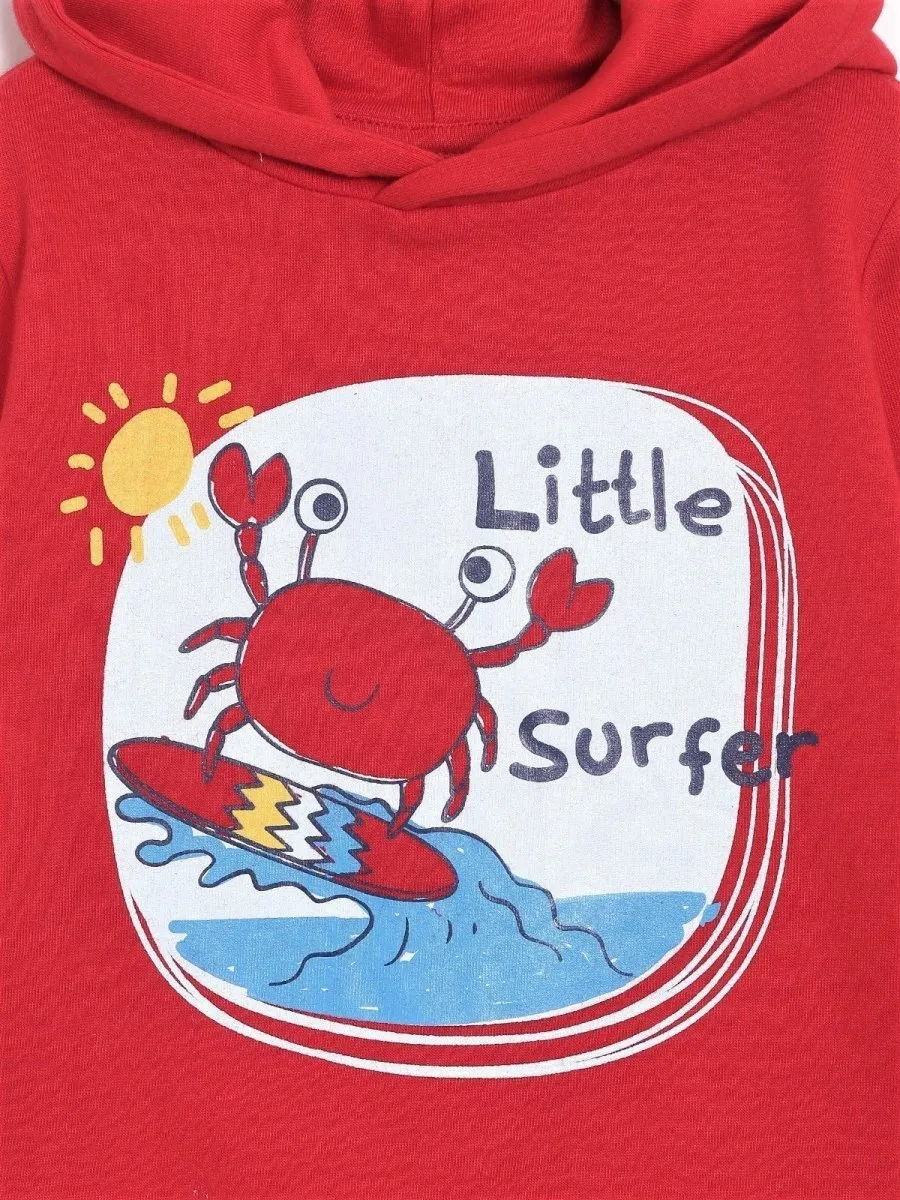 Hooded Sweatshirt Combo of 4-Little Surfer-Hello Dino-Rockstar Dino-My Little Lion